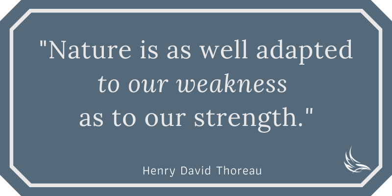 Nature is as well adapted to our weakness as to our strength. - Henry David Thoreau
